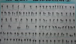 第七套广播体操视频,活力四溢，健康生活新篇章